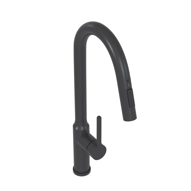

Bothwa Home 18.83" CUPC Certified Pull-down Kitchen Faucet (Matt Black Finish)