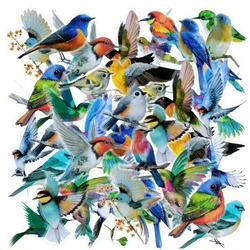 40PCS Bird Stickers, Scrapbook Bird Stickers Waterproof for Journal Laptop Gift Water Bottle Cell Phone Cases  Aesthetic Crafts
