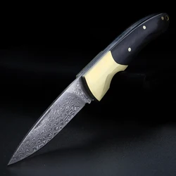 Brass colored wood handle Damascus VG10 steel knife Camping folding knife, outdoor portable knife
