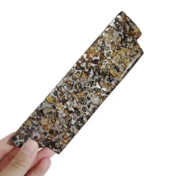 103.7g Seymchan Pallasite Olive Meteorite Slices Specimen Natural Meteorite Material Sliced Collection - TA563
