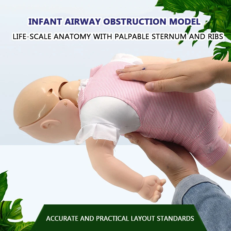 

Infant infarction model Infant airway obstruction training model Cardiopulmonary resuscitation model Heimlich first aid training