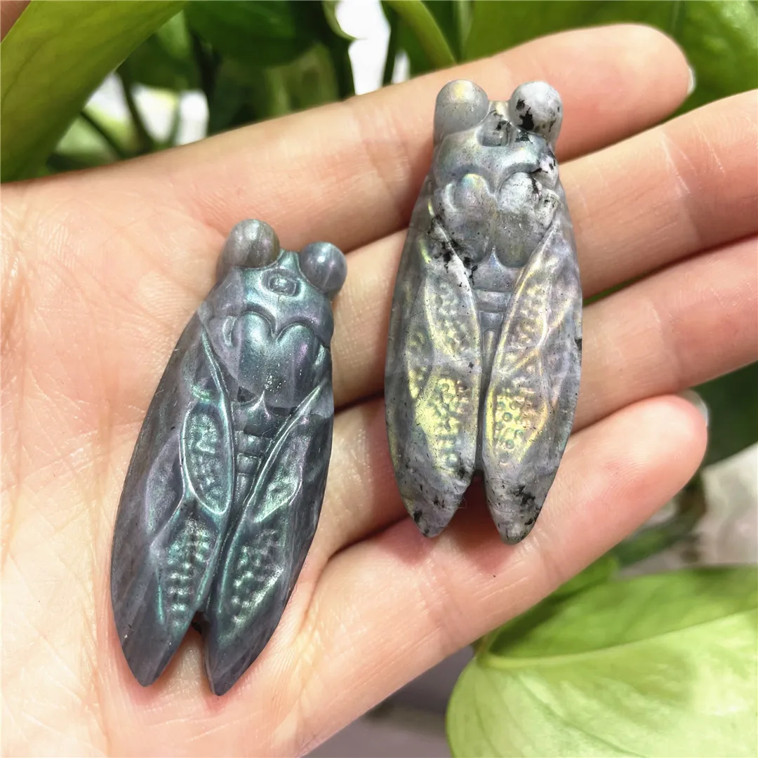 

Natural Flashing Labradorite Crystal Quartz Carving Cicada Animal Figurines Cute Folk Crafts Stone Products Gift Dropshipping