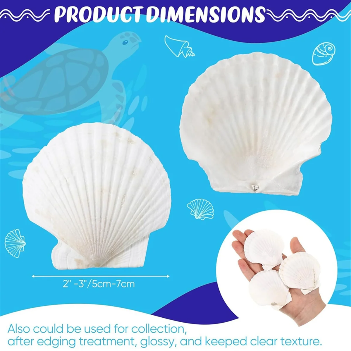 100 Pcs Sea Shell for Crafting Natural Large Scallop Shells White Oyster Shells Bulk for Decorating DIY Home Beach