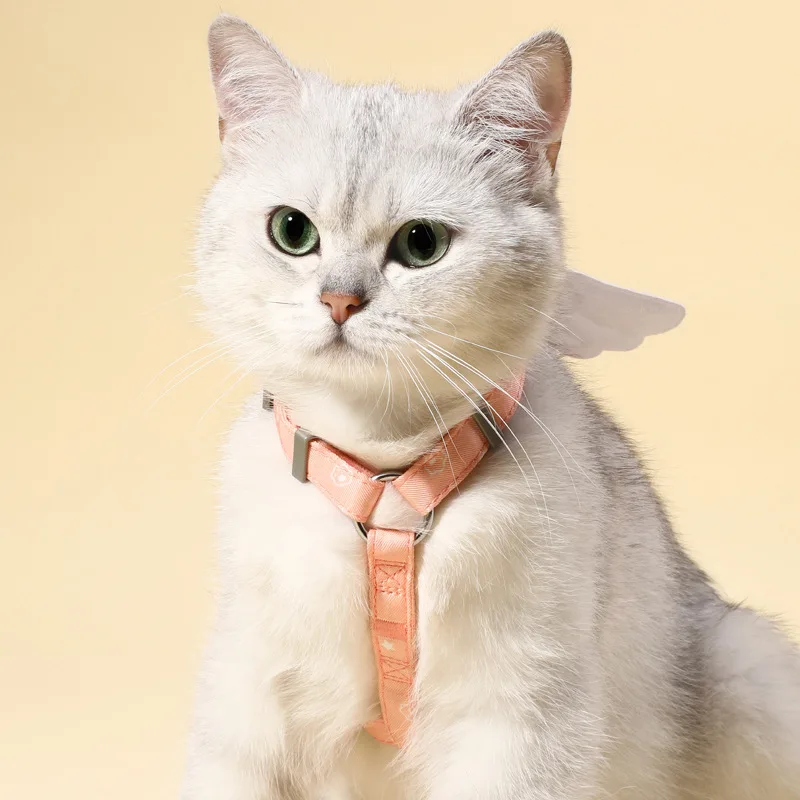 Sweet Angel Wing Cat Harness 120cm Leash Outdoor Cat Dog Harness and Leash Set Water Proof Vest Chest Strap Kitten Accessories