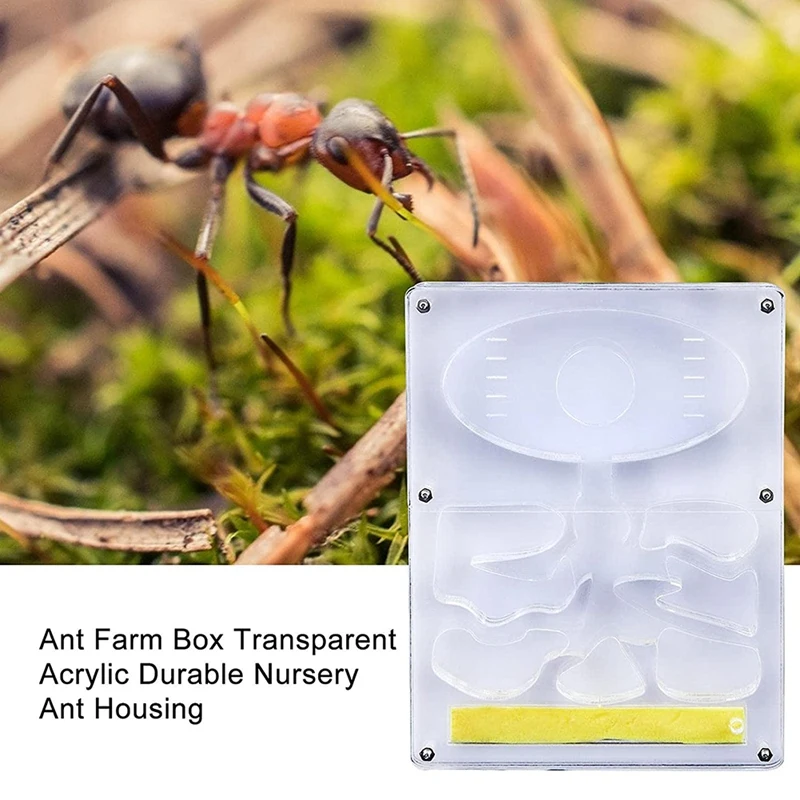 LUDA Acrylic Ant Breeding Box, Ant Farm, Insect Nest, Farm Feeding Box, Educational Formicarium, Ant Farm Kit