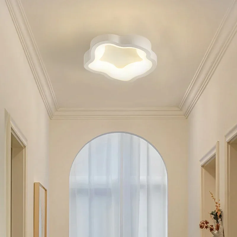 Minimalist LED Ceiling Light Cloakroom Indoor Lighting For Entrance hallway balcony Creative Acrylic ceiling lamp