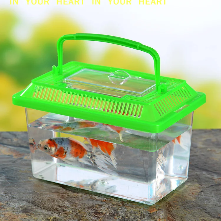 【X】Handheld Transparent Transport Box Portable Handheld Plastic Fish Tank Transparent Cutout Design For Turtle PetFish