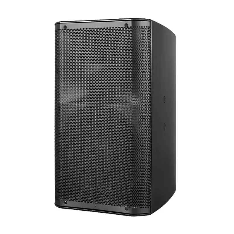 High Power Customized Amplifier Karaoke Speaker with Bluetooth for Public Address System Conference Hall School Stadium Event