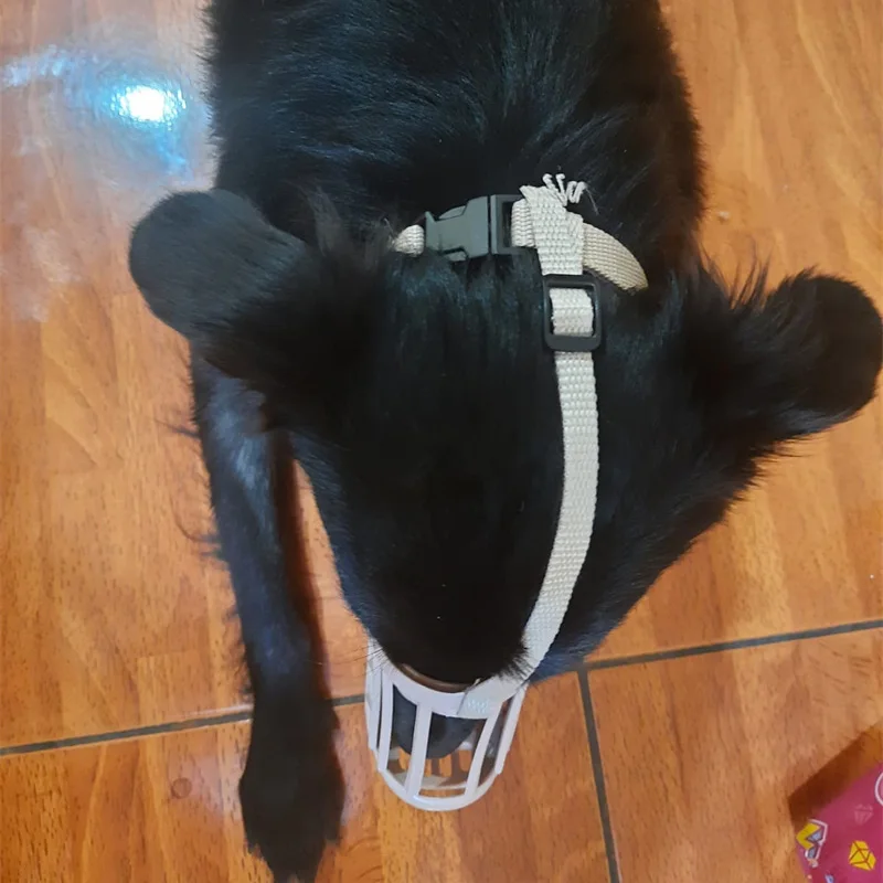 Outdoor Anti-eating Dog Muzzle for Medium Large Dogs Adjustable Pet Mask Golden Resistant Labrador Accessories Mascotas Supplies