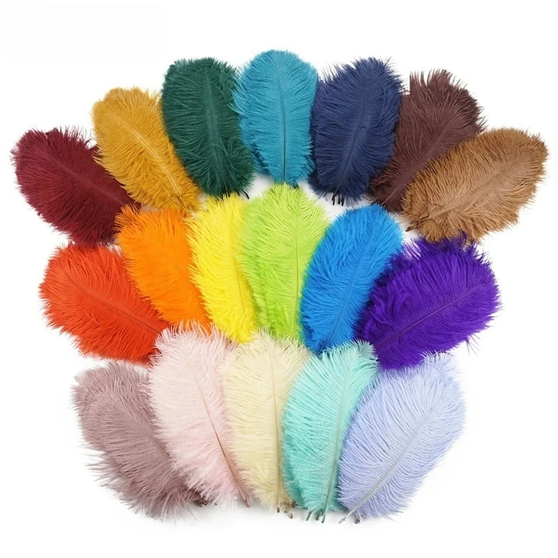 

50Pcs Colorful Ostrich Feather Handicraft Accessories Dream Catcher Decoration Jewelry Creation Natural Plume Table Centerpieces