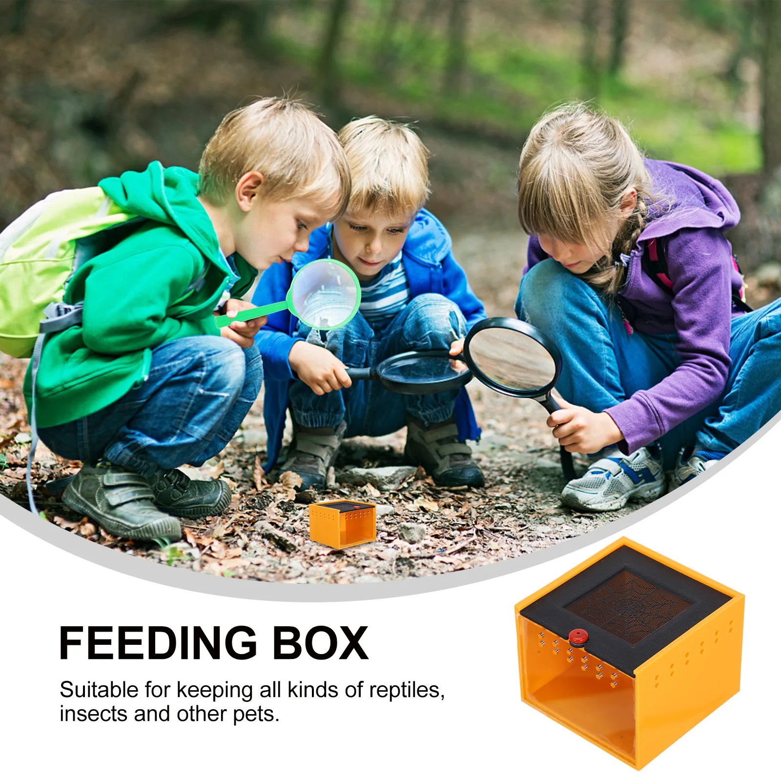 

Acrylic Terrarium For Spider Compact Reptile Habitat Box Jumping Spider Breeding Container Mini Snail Enclosure Portable Pet