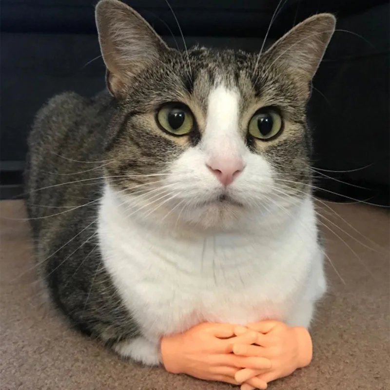 Guantes de masaje divertidos para gato, mano humana falsa para gatito, 1 par