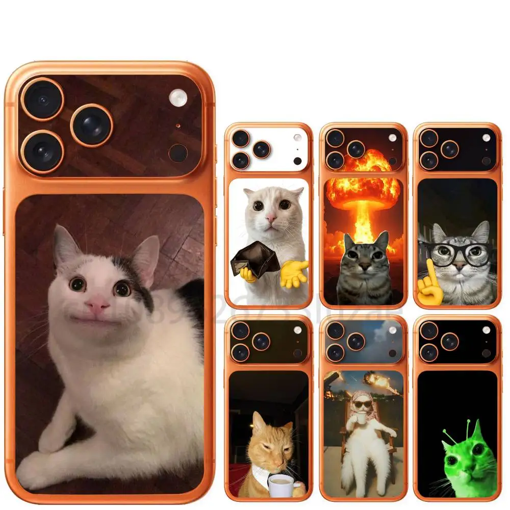 cute funny cat meme For iPhone 17 Pro 17 ProMax Anti-Scratch Protective Film