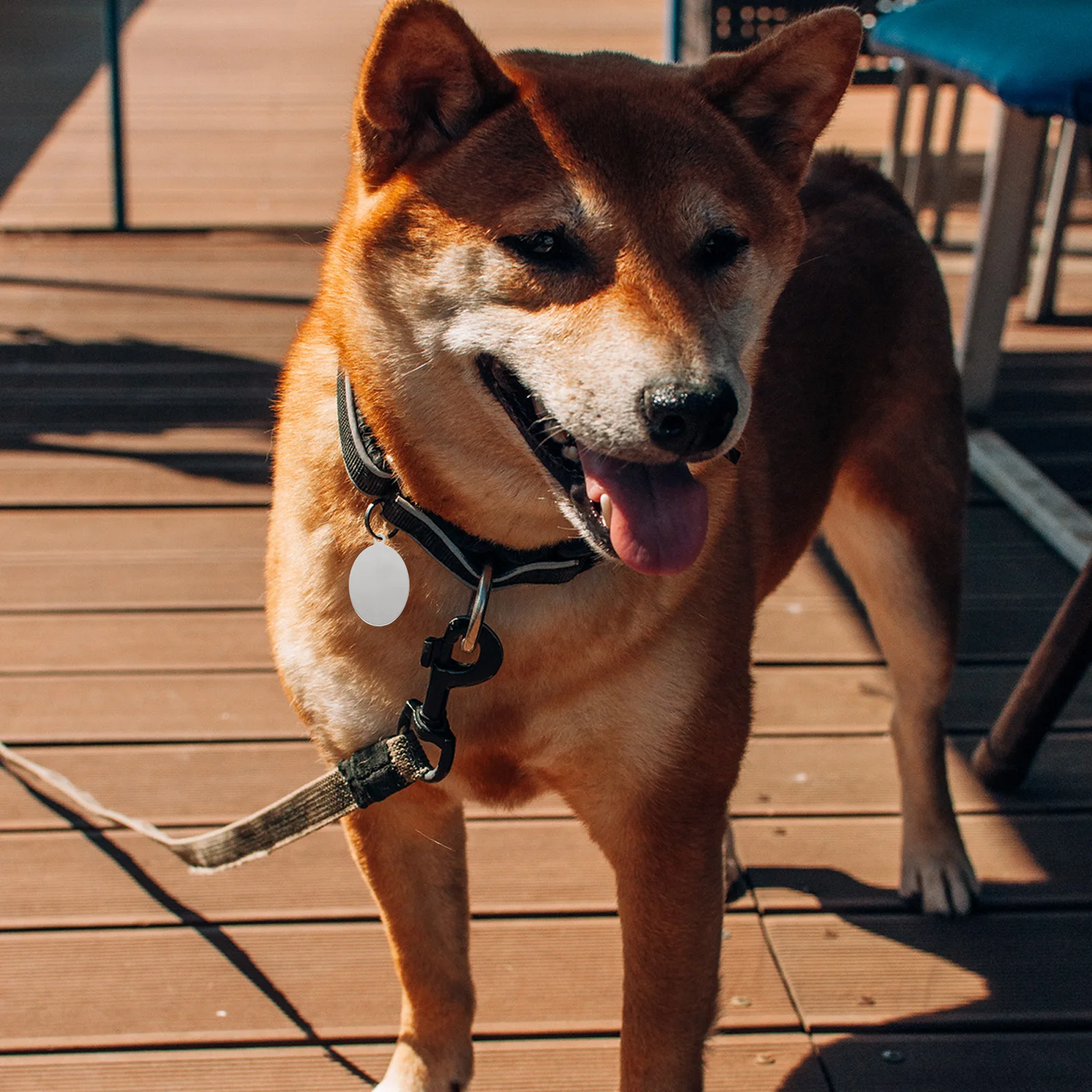 

10Pcs Pet Anti-Lost Dog Identification Tags Stainless Steel Durable Oval Blank Name Tags Puppy Cat Collar Dog Tag