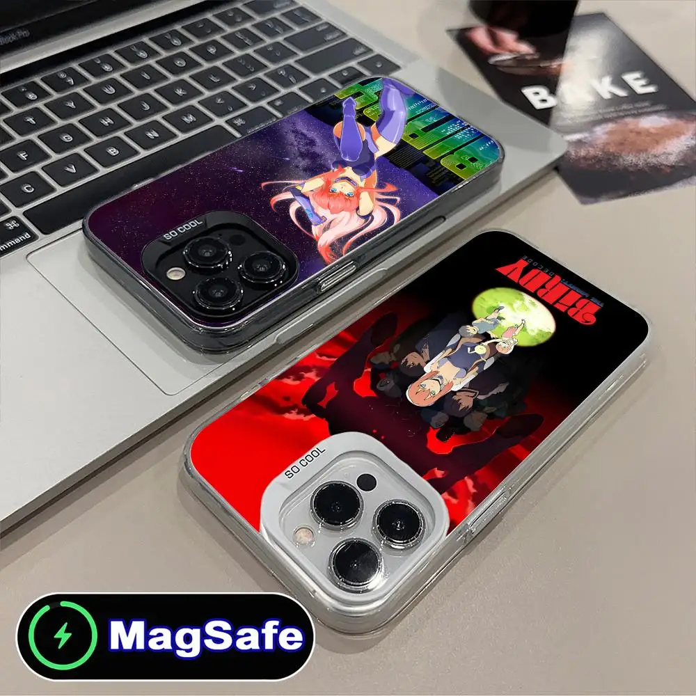 حافظة هاتف محمول بيردي مايتي لهاتف آيفون 16 15 14 13 12 11 برو ماكس بلس MagSafe طباعة ملونة شفافة فاخرة جميلة