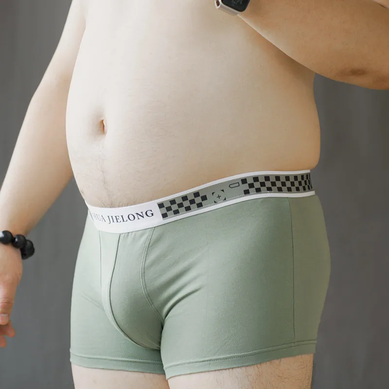 

Men's breathable U-Bulge briefs sexy lingerie Chubby large sizeshorts Underwear See-through Fashion new Underpants