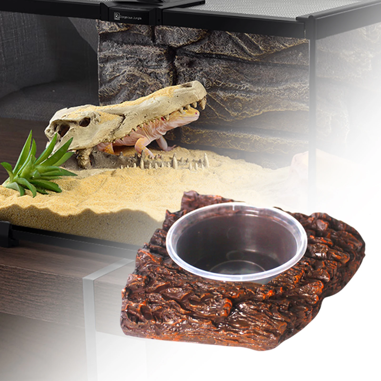 Feeder Dish Frogs Lizards Amphibians Feeding Reptile Food Water Bowl for Chameleon Spiders Turtle Leopard Gecko Bearded Dragons