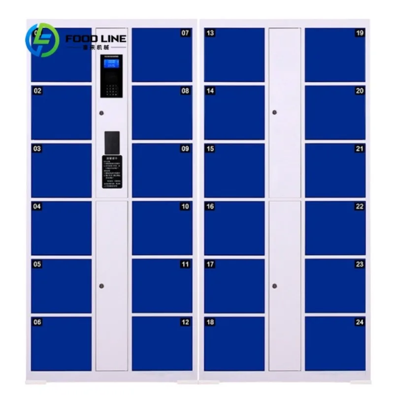 Smart Locker Storage Cabinet Secure Personal Storage System for Gym School and Shopping Mall