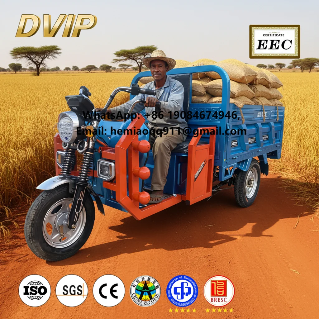 

Factory Direct Sales Cheap 3-Wheeler Electric Tricycle 400kg Payload Capacity OPEN Body for Farmer Vendor Cargo Delivery