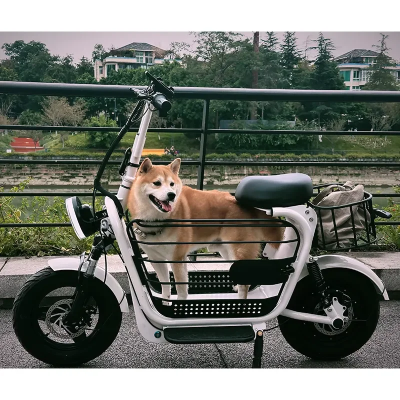 Big Size Pet Scooter Electronic Scooter For Adults Foldable Two Seat Long Range 150kg Load