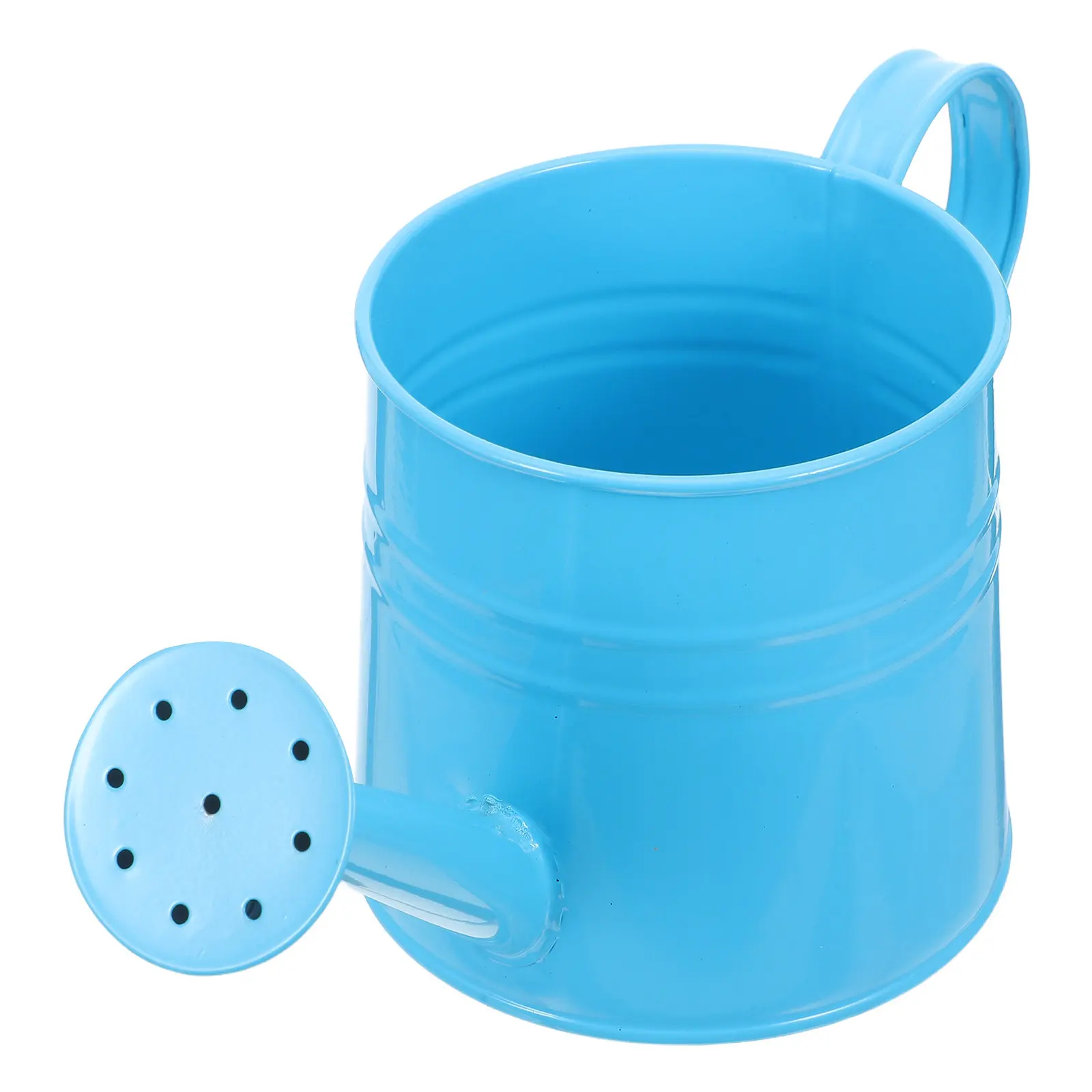 Small Metal Watering Can with Sprinkler Head Portable Indoor Outdoor Gardening Pot for Succulents Flower Care Decorative Garden