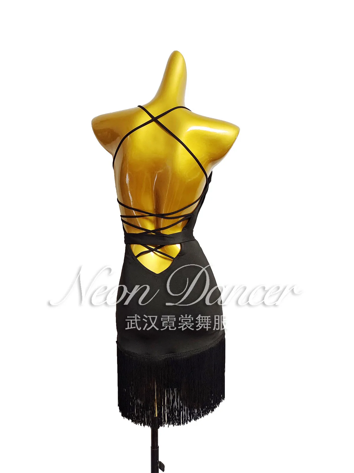 Neon Dancer New Women\'s Latin Dance Outfit, Swing-Neck Tassel Dress, Backless Practice Outfit
