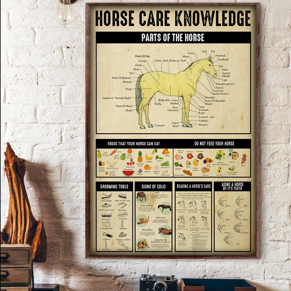 Horse Breeds Of The World Horses Care Knowledge Silk Poster Home Decorative Wall Painting