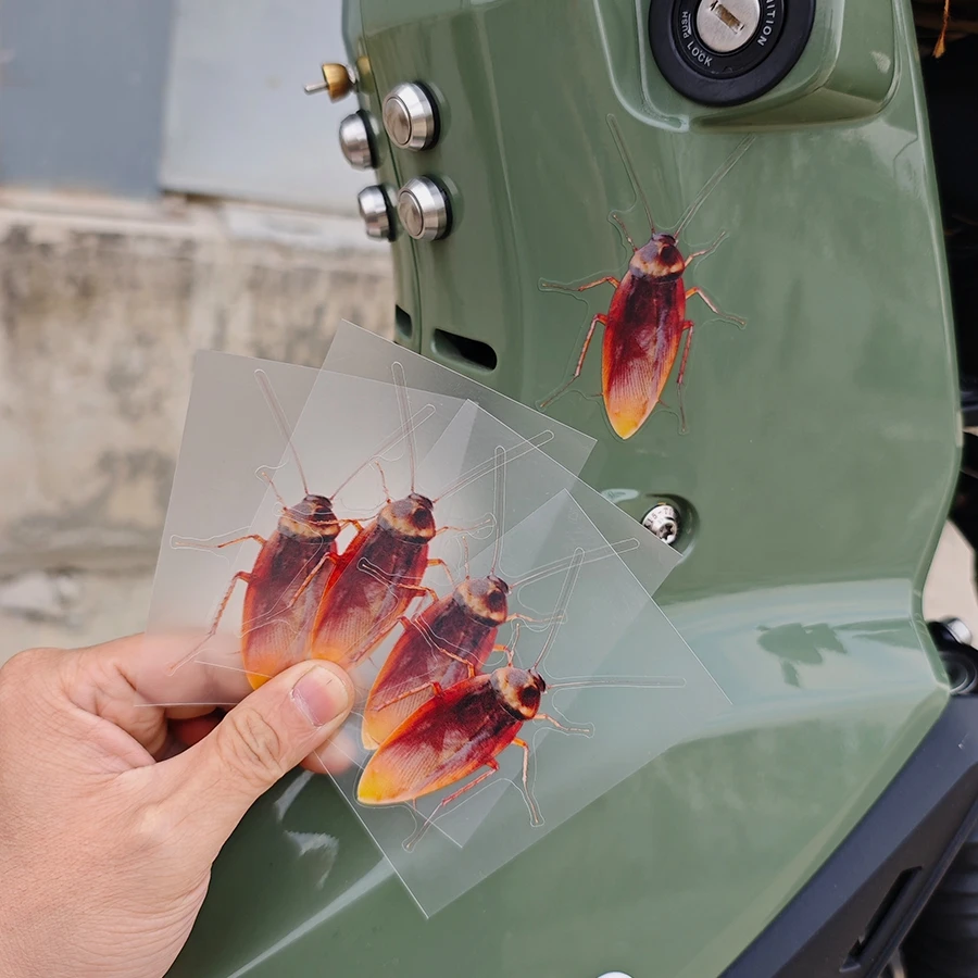 1 piece of cockroach insect, abstract and realistic cartoon design, car sticker, car window glass, laptop computer sticker
