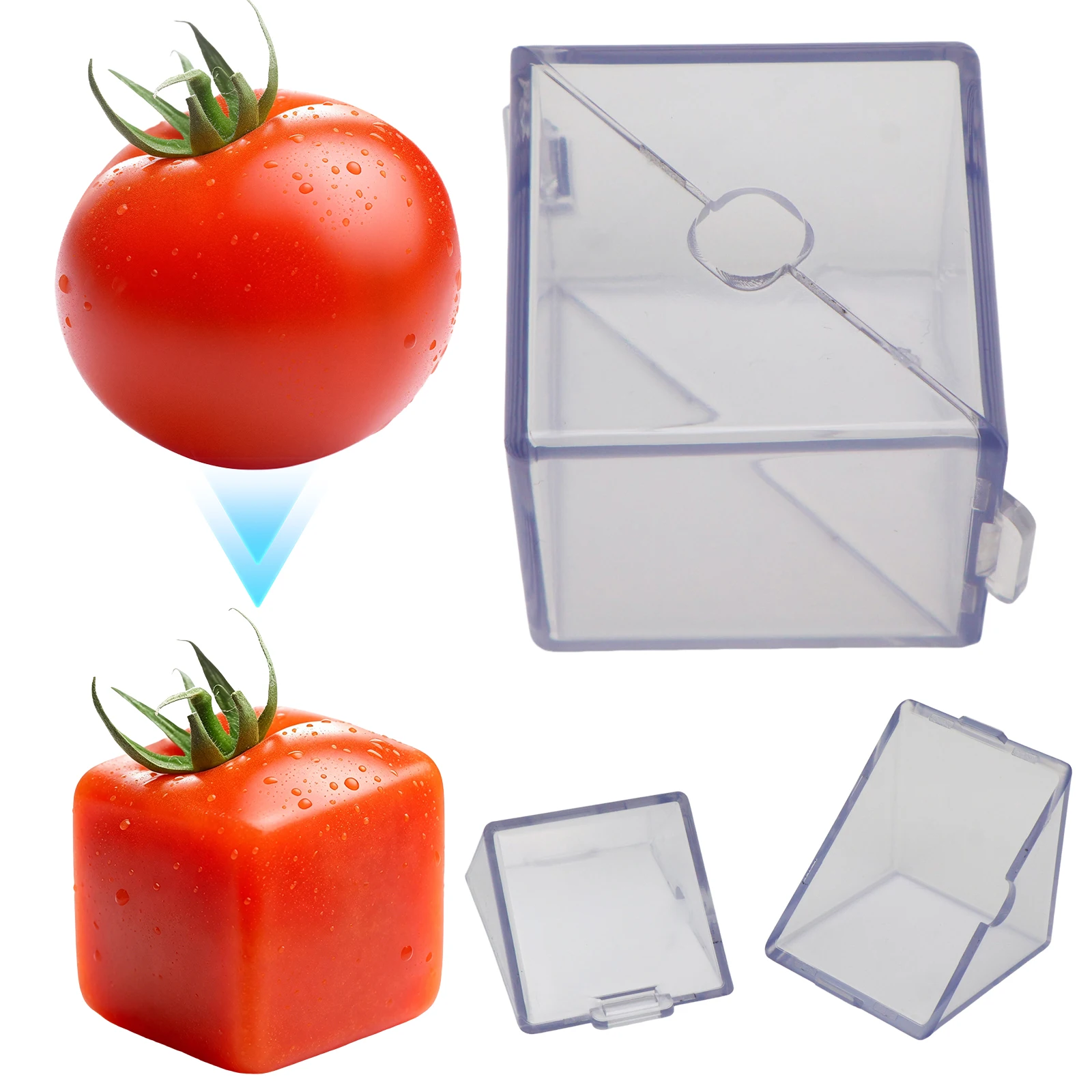 ABS Fruit Shaping Molds Easy-use Transparent Growing Shaping Molds Breathable Growing Box for Gardening Lover for Party Gift