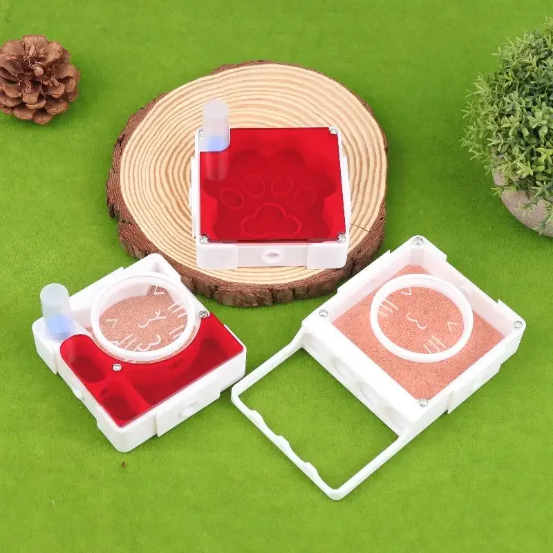 Experiment And Obse… - image