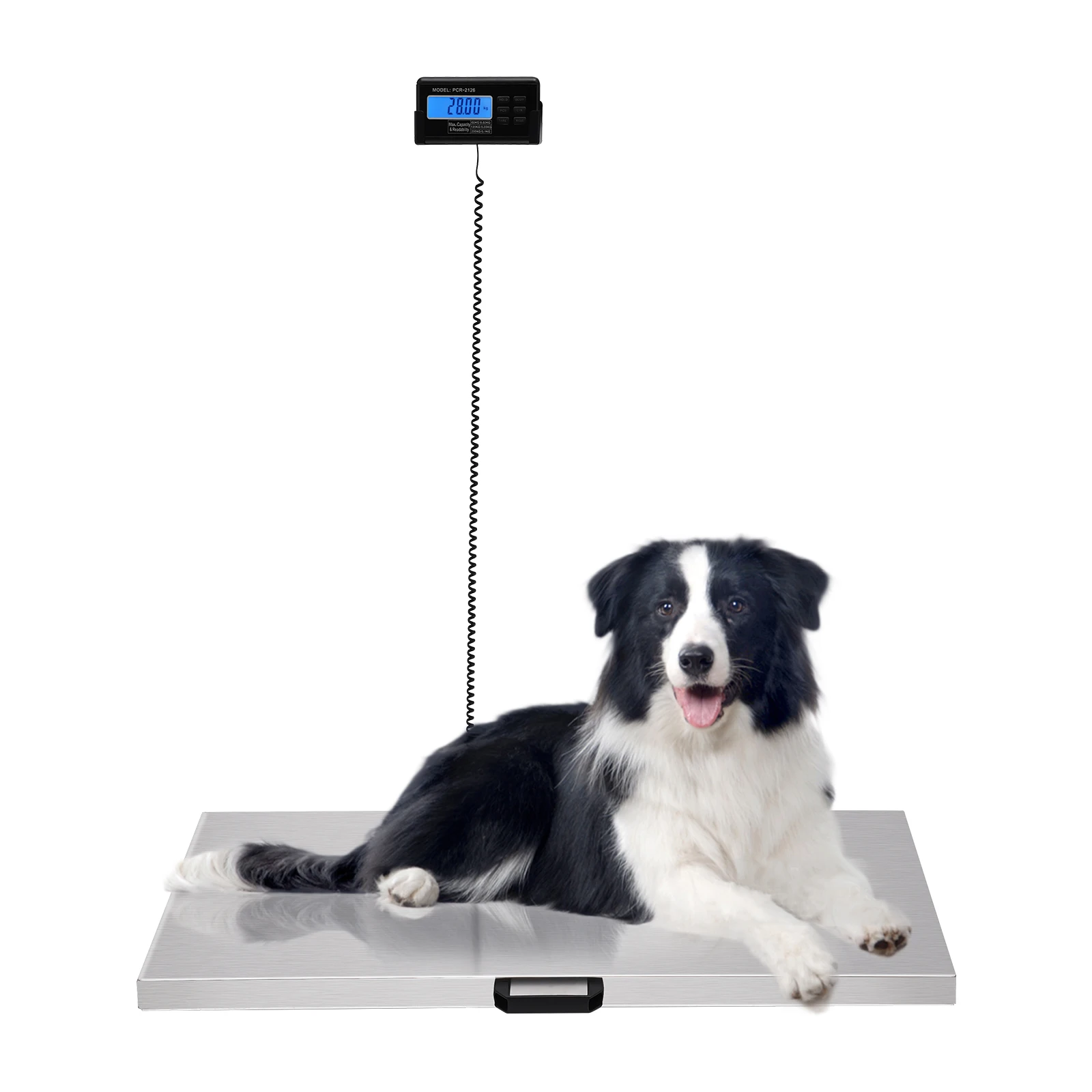 201 Stainless Steel Digital Livestock Scale Large Pet Vet Scale Platform Electrical Postal Shipping Scale 200kg/440lbs