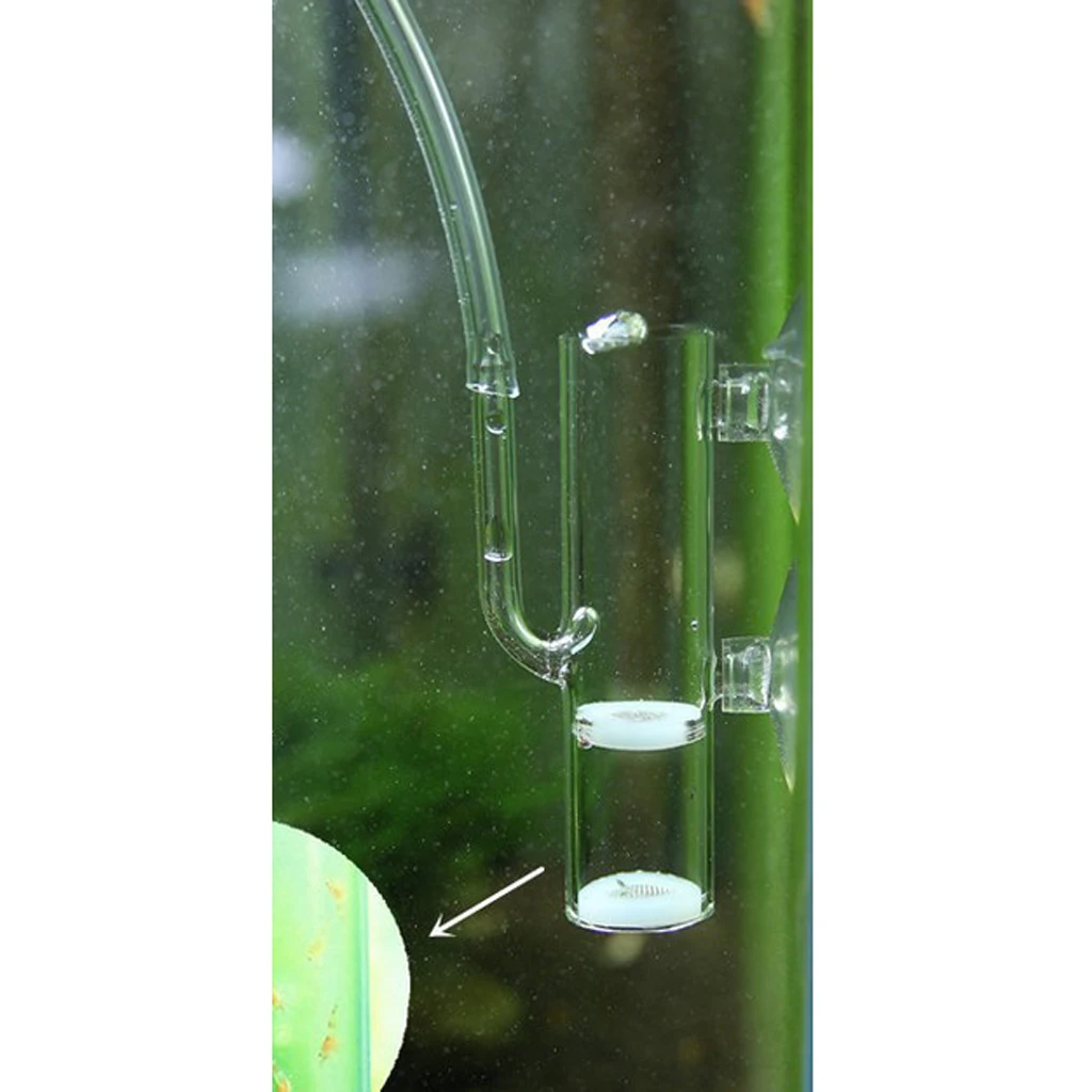 Aquarium Glass Egg Tumbler Incubator for Crystal Cherry Red Shrimp Hatching