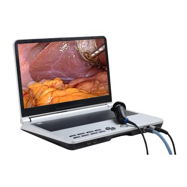 Full HD 4K 3 in 1 Endoscopy ENT Camera with LED Light Source Monitor