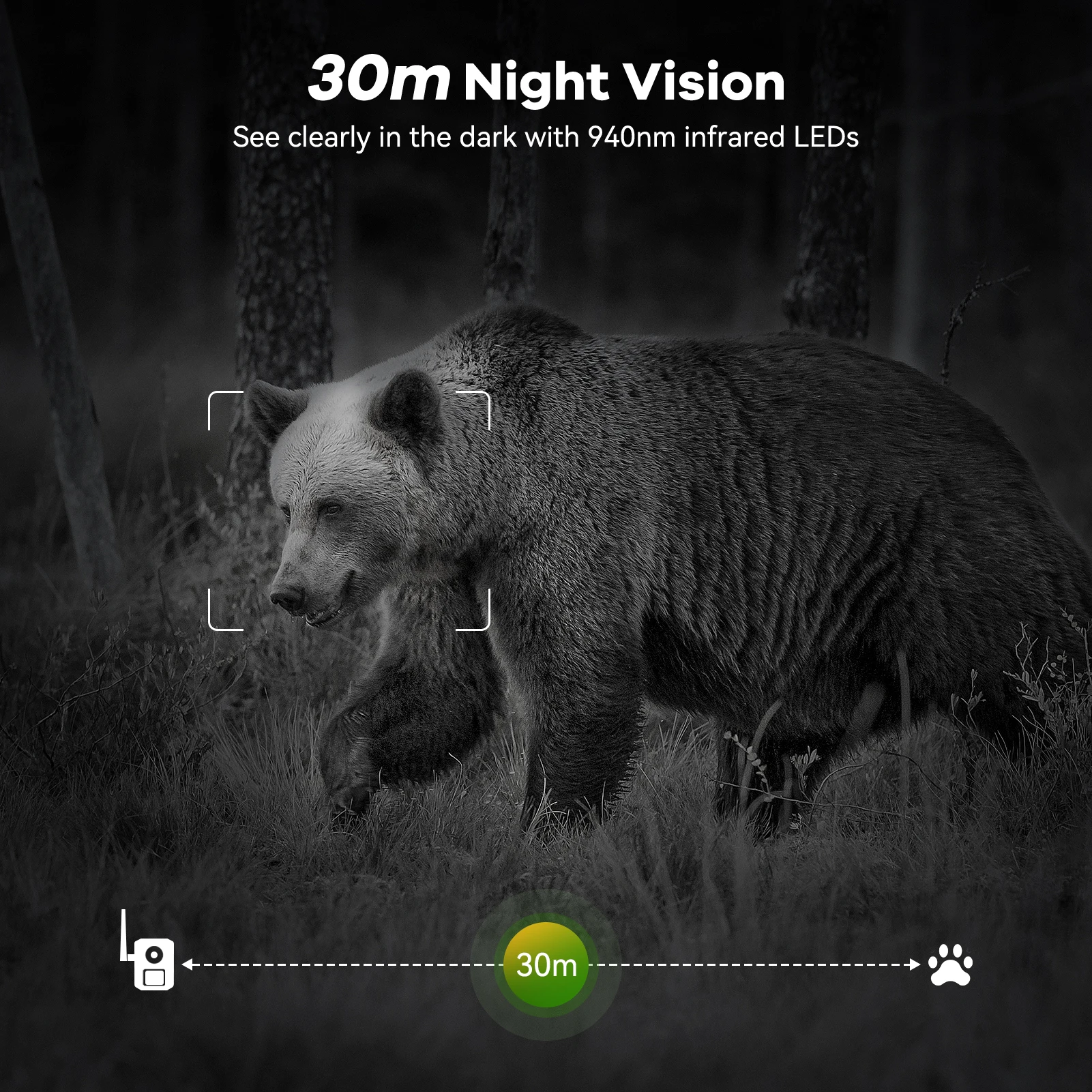 كاميرا الحياة البرية 4G LTE مع تطبيق نقل الهاتف المحمول، كاميرا صيد تعمل بالطاقة الشمسية 2.7K مع بطاقة SIM، مستشعر حركة PIR، رؤية ليلية