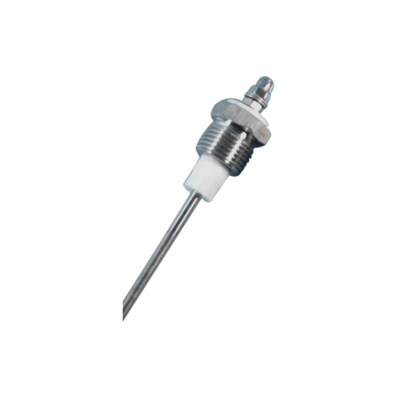 water level electrode rods stainless steel water level probe sensor Electrode Rod For Steam Boilers G1/4 G3/8 G1/2 400MM
