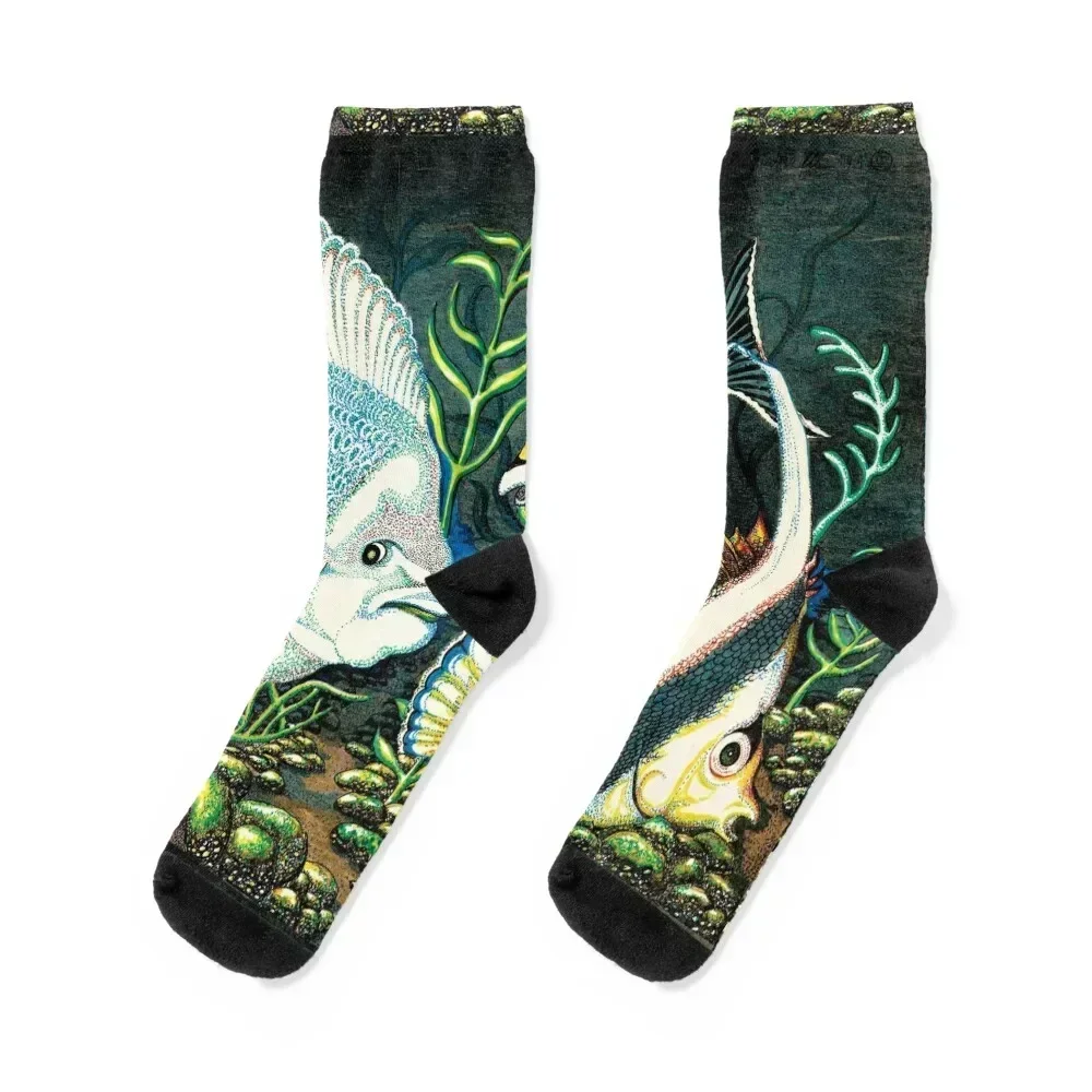 Tropical Fish Socks floor ankle hiking shoes Socks Female Men's