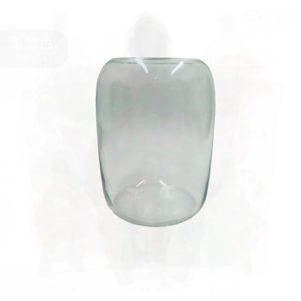 

Decorative Transparent Glass Vase Simple Flower Ornaments Hydroponic Fish Tank Micro Landscape Plant Holder for Living Room