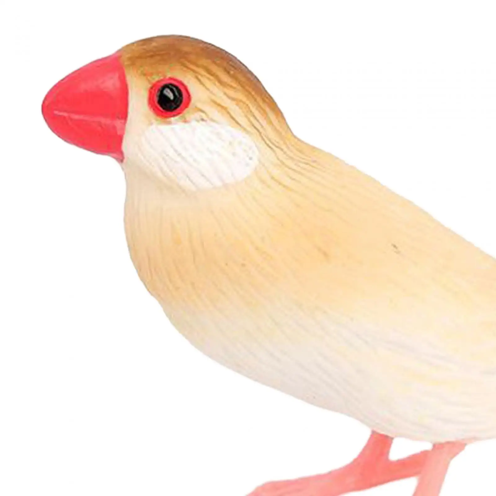 4x Simulation Bird Model Children's Toy Decoration Realistic Learning Tools Sculptures Science Animals Learning for Party Favors