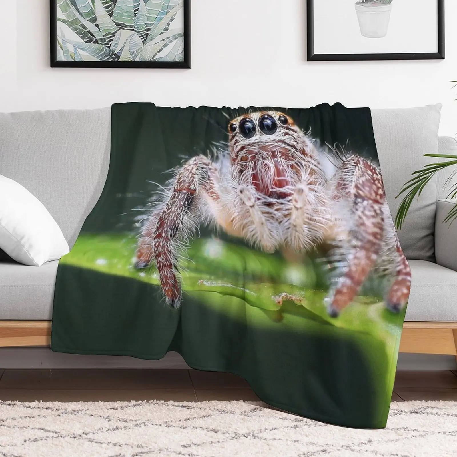 Jumping Spider Throw Blanket christmas gifts Plaid Blankets