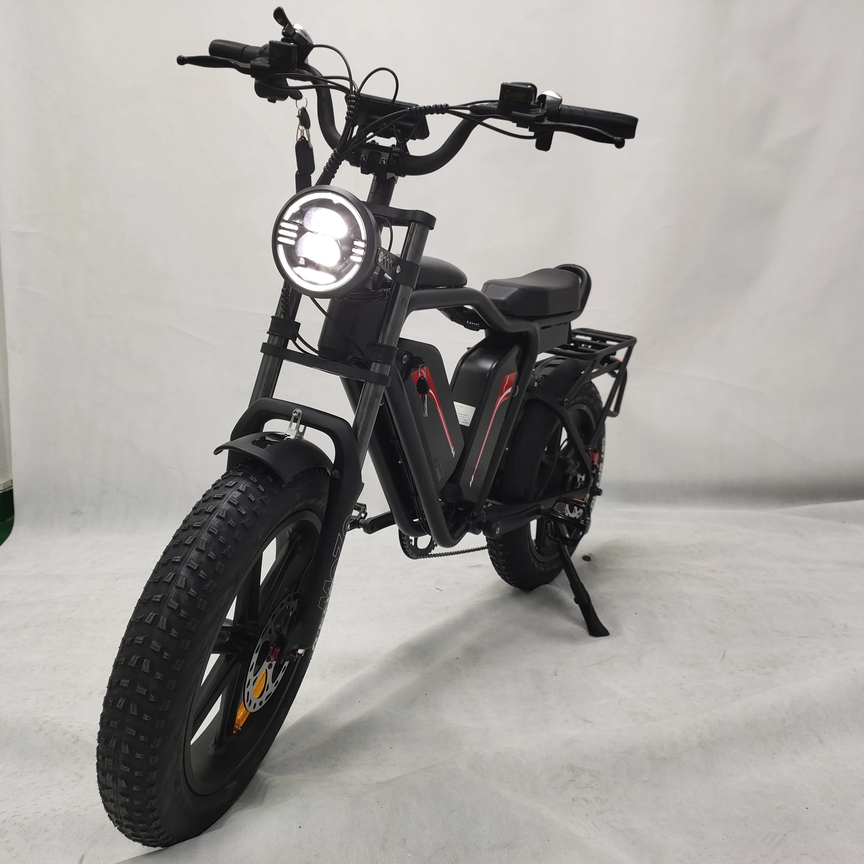 20inch 48v 22ah*2 Lithium Batteries 1000w Brushless Motor E Fat Tire Bike Ecycle Cargo Ebike Delivery Electric Bicycle