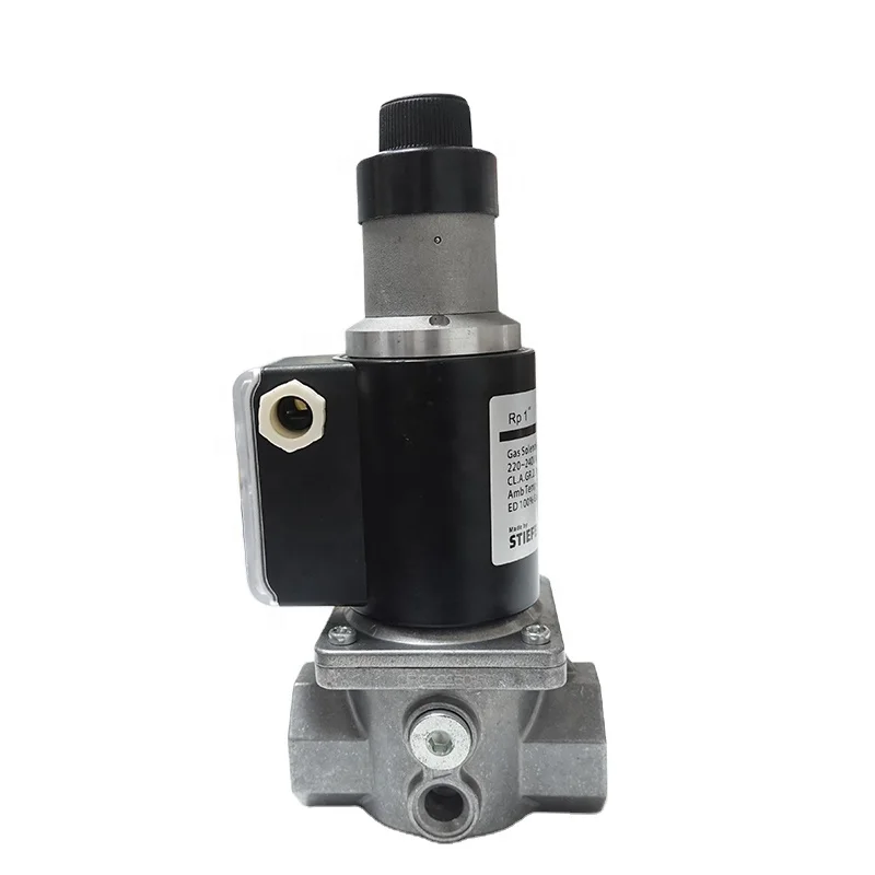 AC 220 V Slow Opening Solenoid Valve DN32 Aluminum Alloy Threaded Solenoid Valve for Industrial Natural Gas Burner