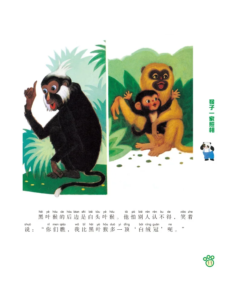 Book-Winshare First Grade Loves Science The Monkey Family Takes Photos Full Color Science Fairy Tale With Phonetic Annotations view 4