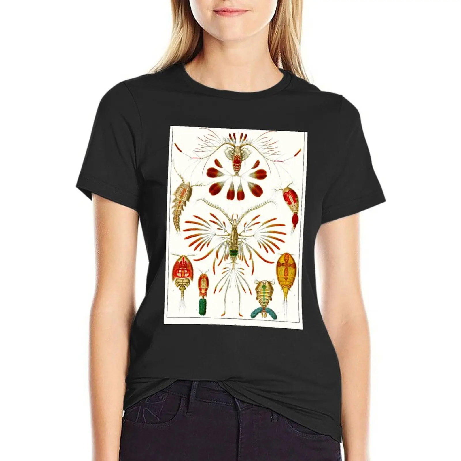 Plate 56. Copepods, small crustaceans from nearly every water habitat. T-Shirt Blouse customs design your own Women clothing