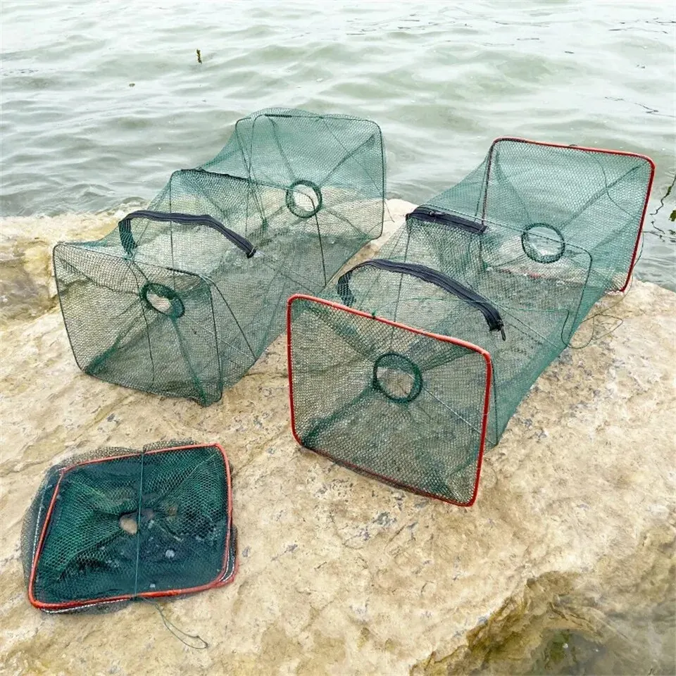Jaula plegable para peces, trampa fina de malla de nailon para cangrejos, camarones y cangrejos de río, aparejos de pesca para entusiastas del aire libre, 1 ud.