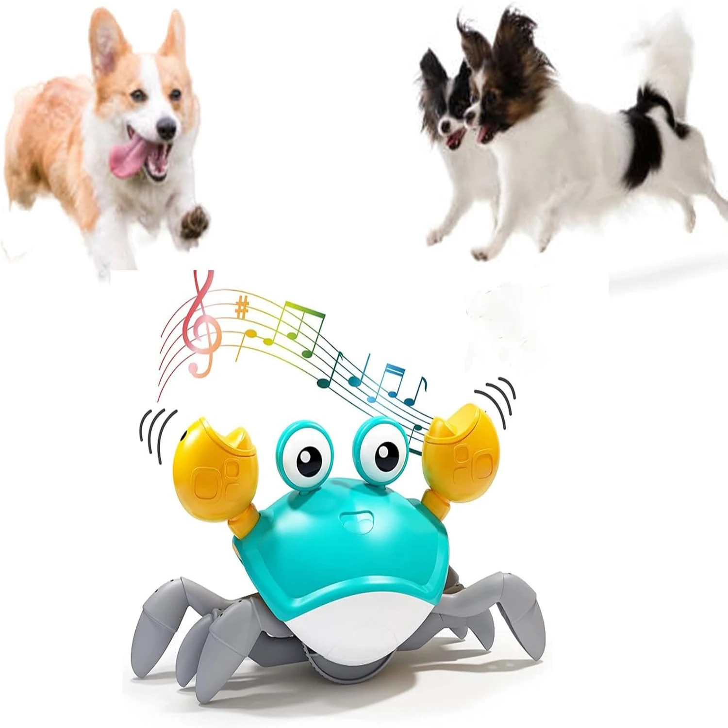 Engaging Interactive Dancing Crab Dog Toy with Musical Sounds - Entertaining and Stimulating Pet Toy for Dogs and Cats - Keeps Y