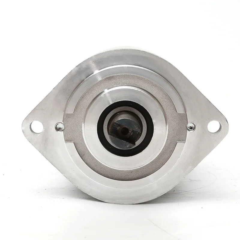 800W Brushed DC Oil Pump Motor Power Unit, Copper Wire Core Motor, Small
