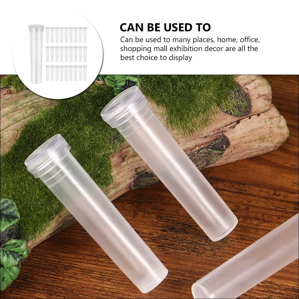 

Household Plant Vase 100Pcs Transparent Fresh Flower Storage Tube Desktop Hydroponic Decoration Tube Small Terrarium Growth Bag