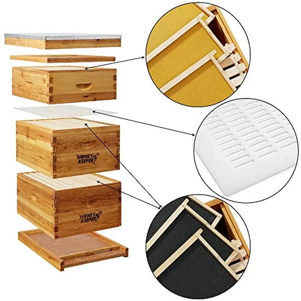 

10 Frame Beehive Kit Beeswax Coated Wooden Box Set 2 Deep 1 Medium Frames Wax Foundations Honey Harvesting Kit Golden Hive Entry