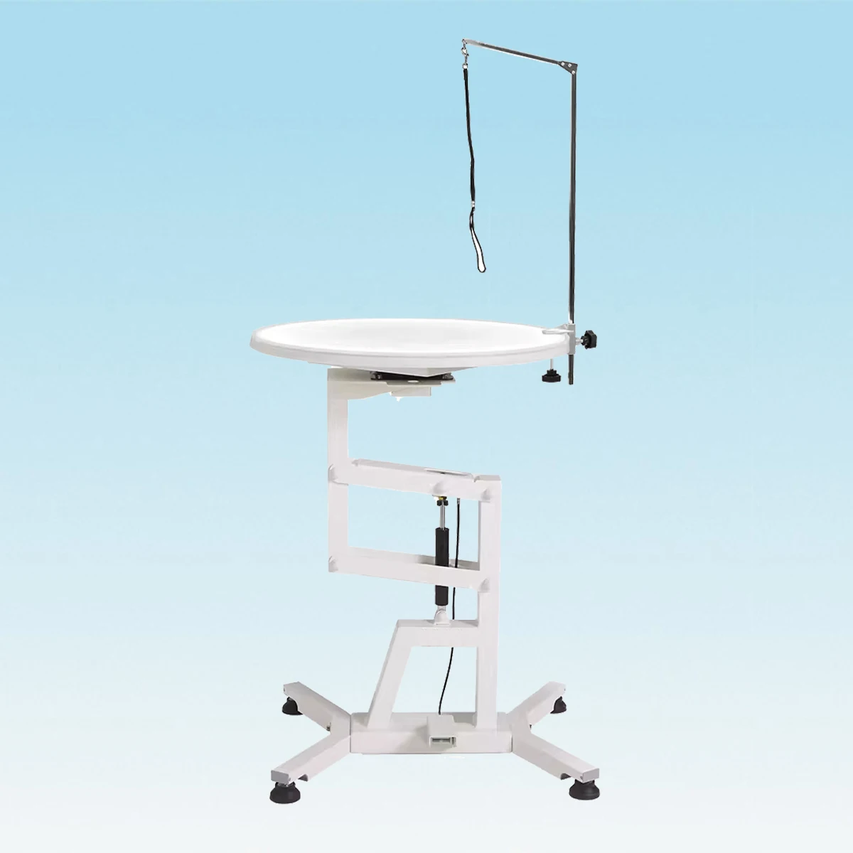 Professional Dog Grooming Air Lifting Table  with LED Light