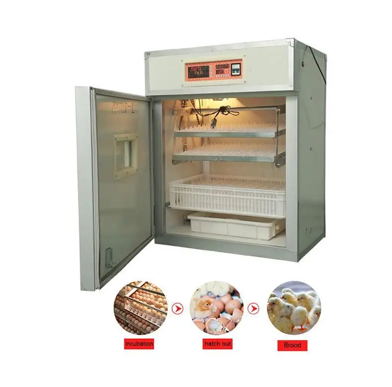

Tunisia Egg Incubation Price